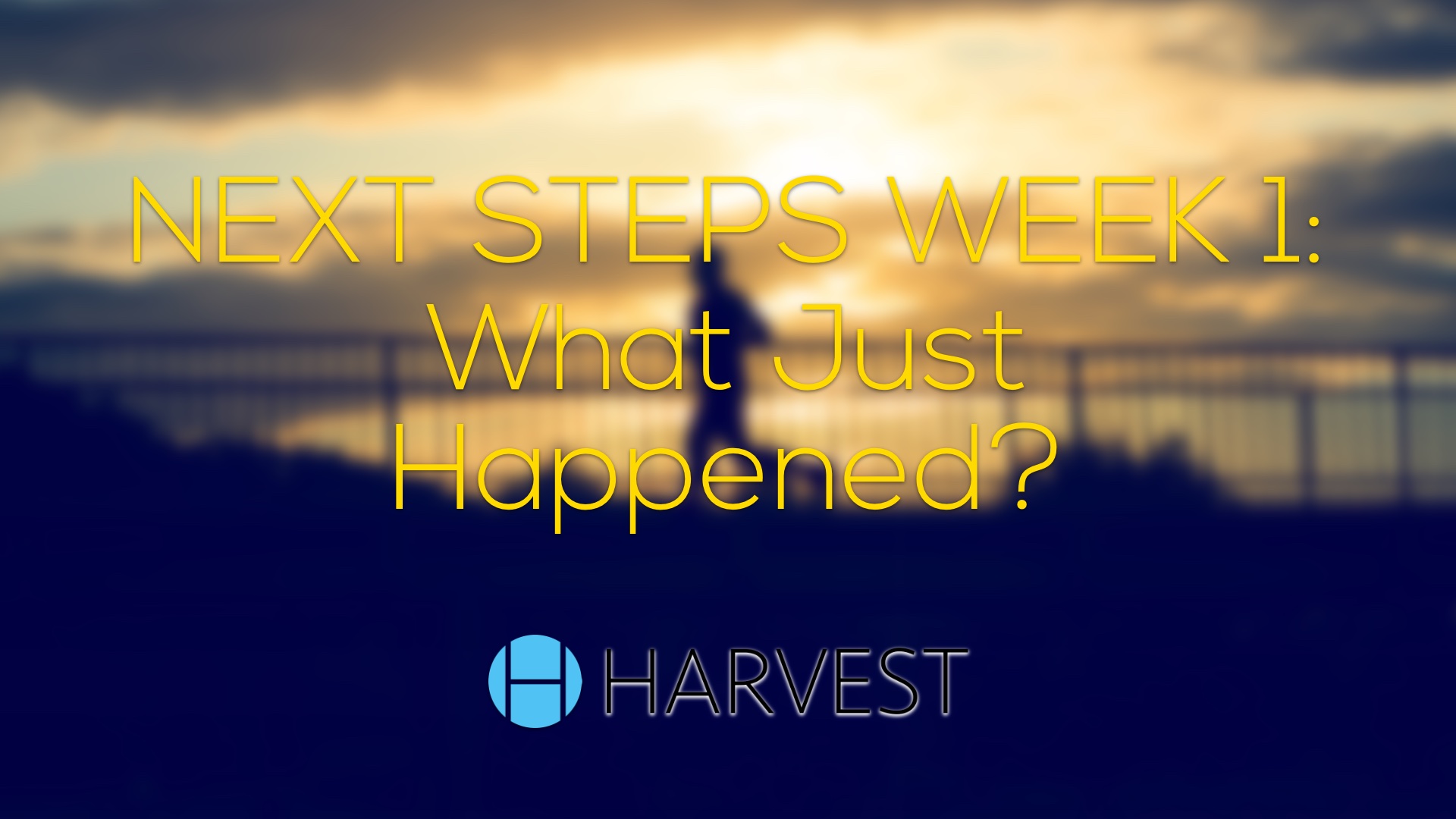 NEXT STEPS WEEK 1: What Just Happened?