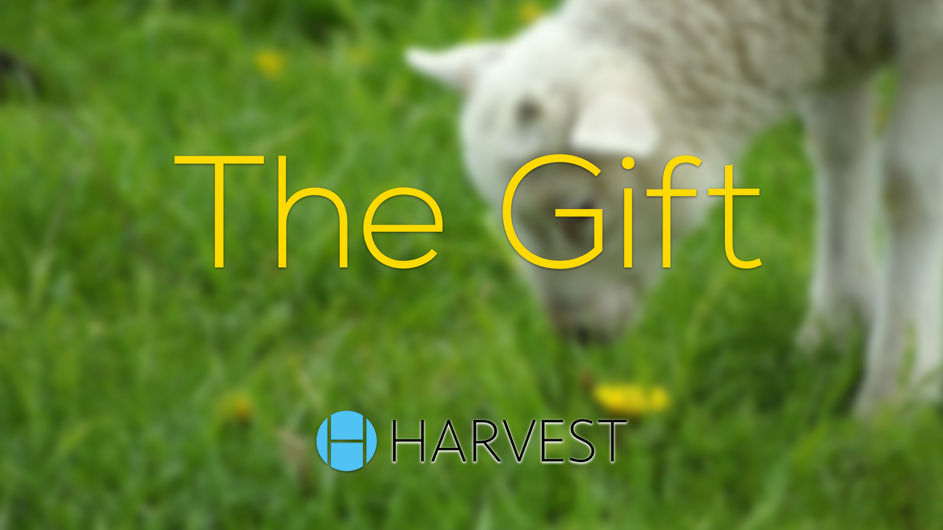 The Gift – Resurrection Sunday