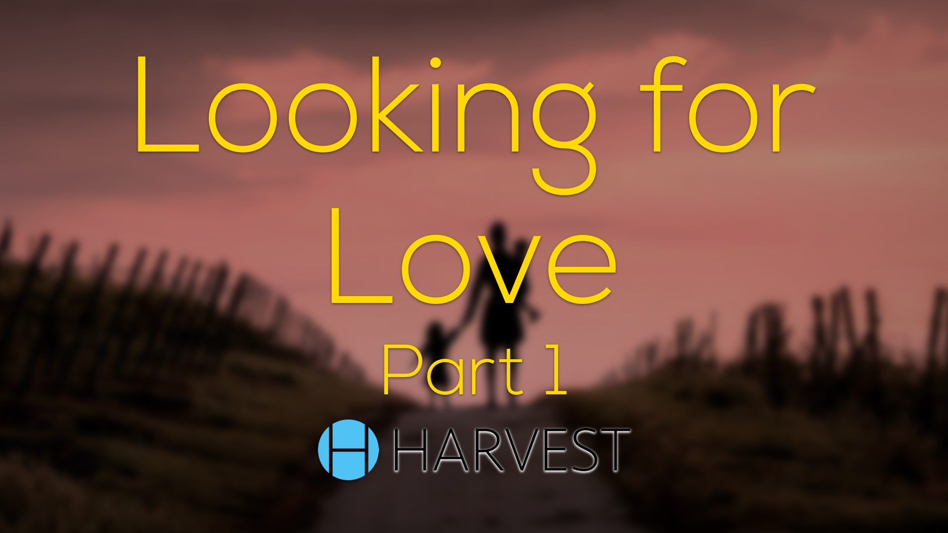 Looking for Love – Part 1