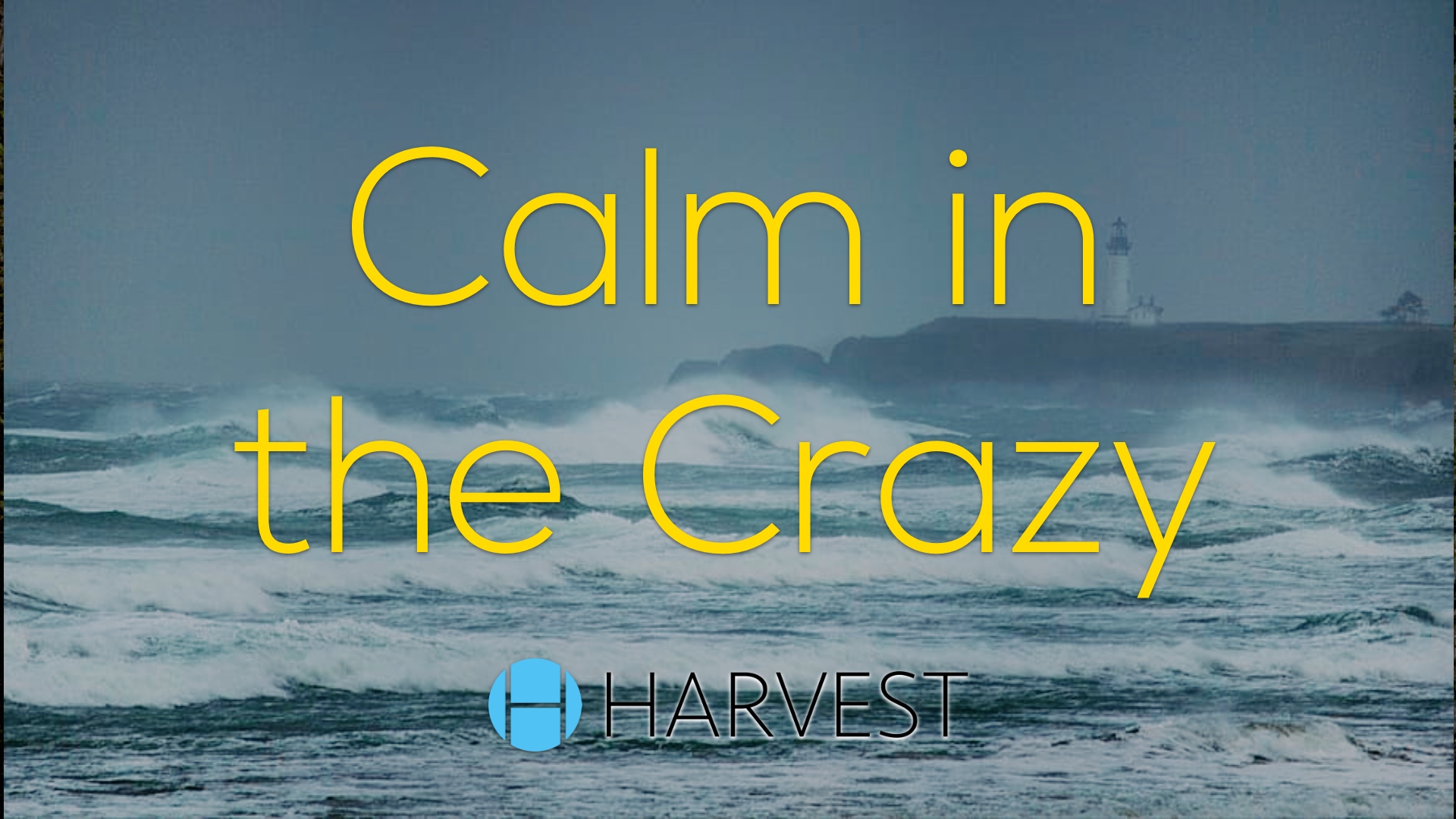 Calm in the Crazy