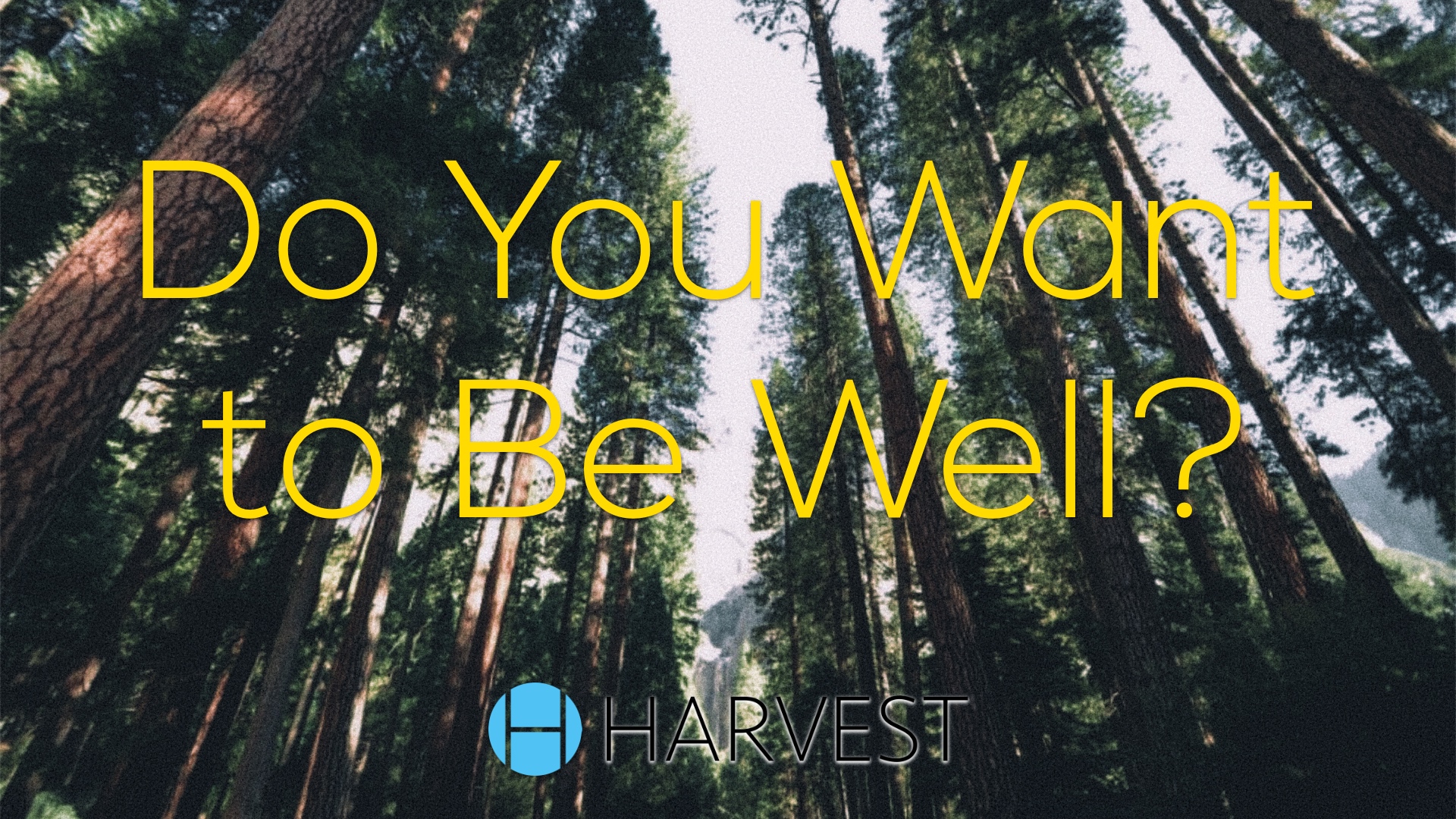 Do You Want to be Well?