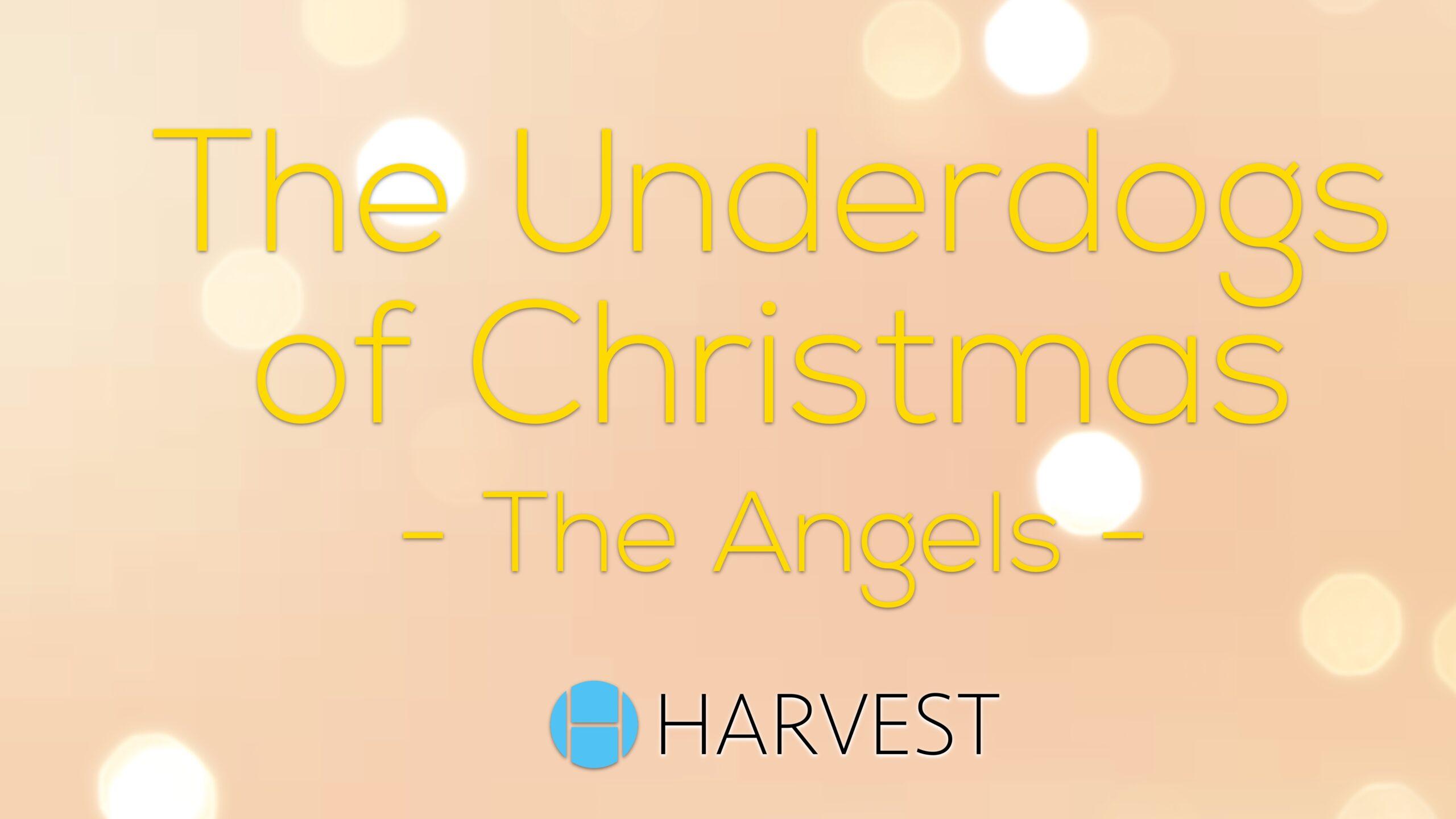 Underdogs of Christmas: Angels