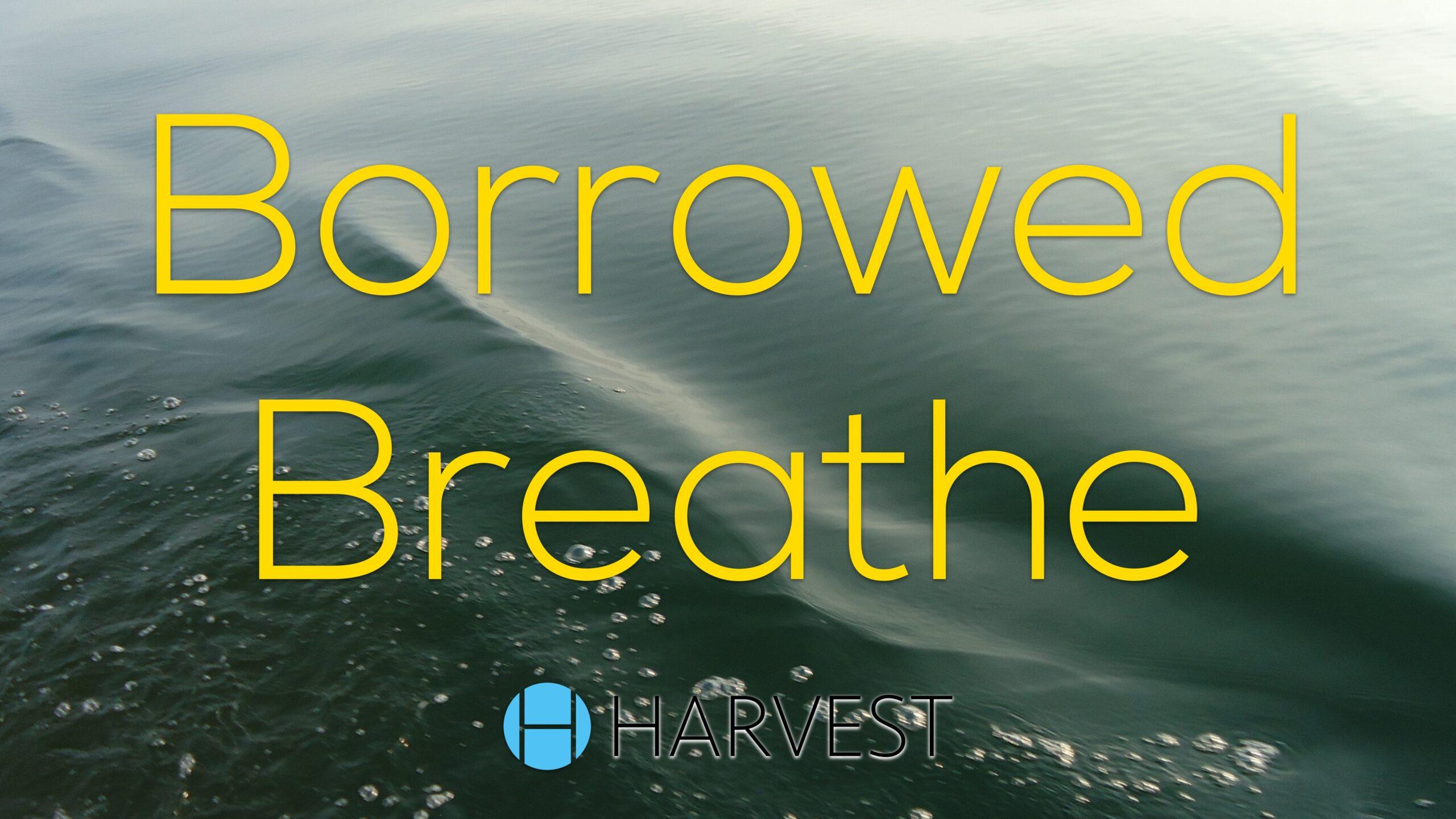 Borrowed Breath