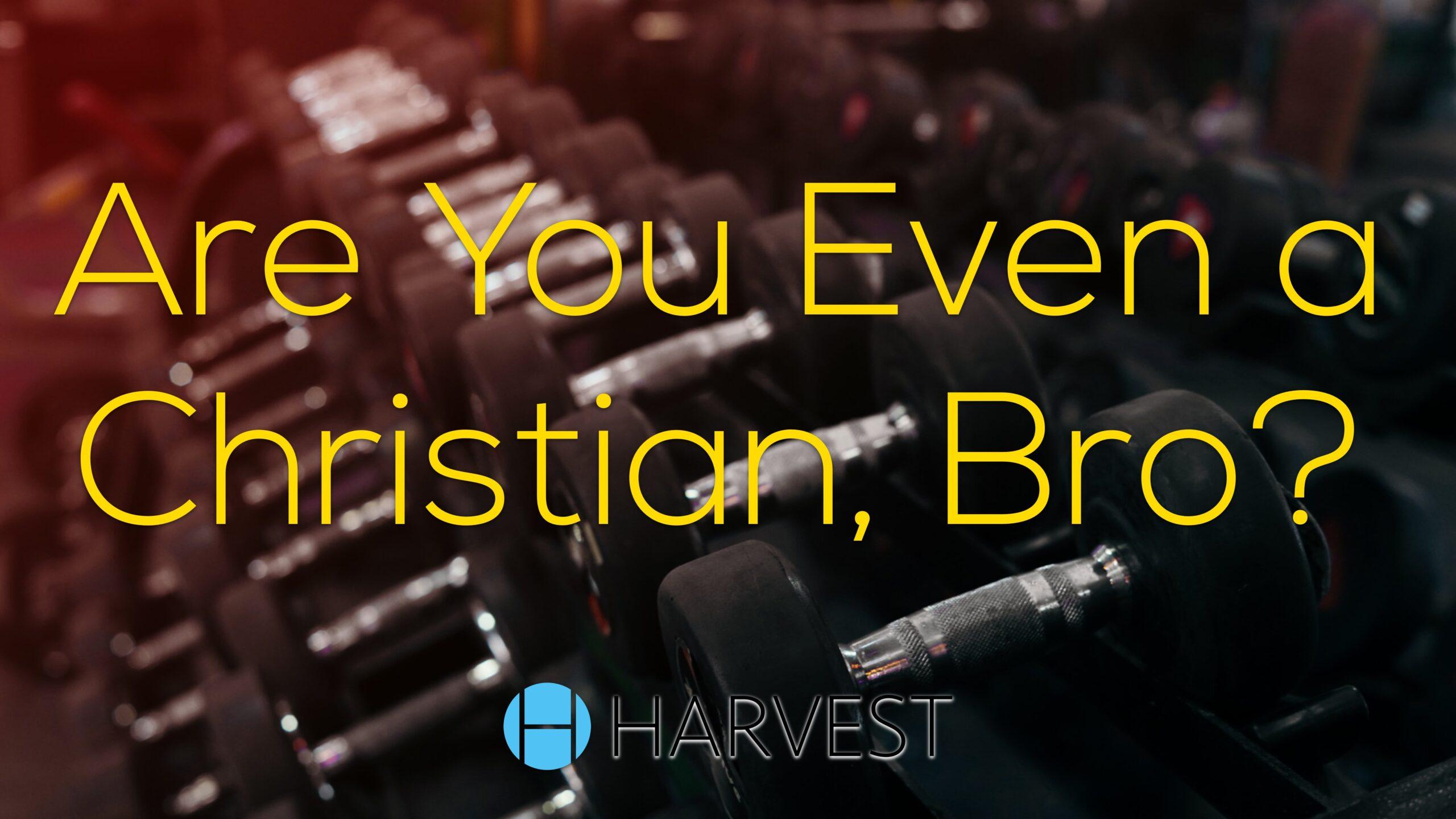 Are You Even a Christian, Bro?